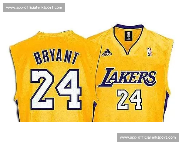 NBA球衣购买指南:正版球衣店铺与价格对比 NBA球衣购买指南:正版球衣店铺与价格对比